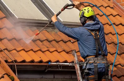 Démoussage et hydrofuge de toiture à Bercloux